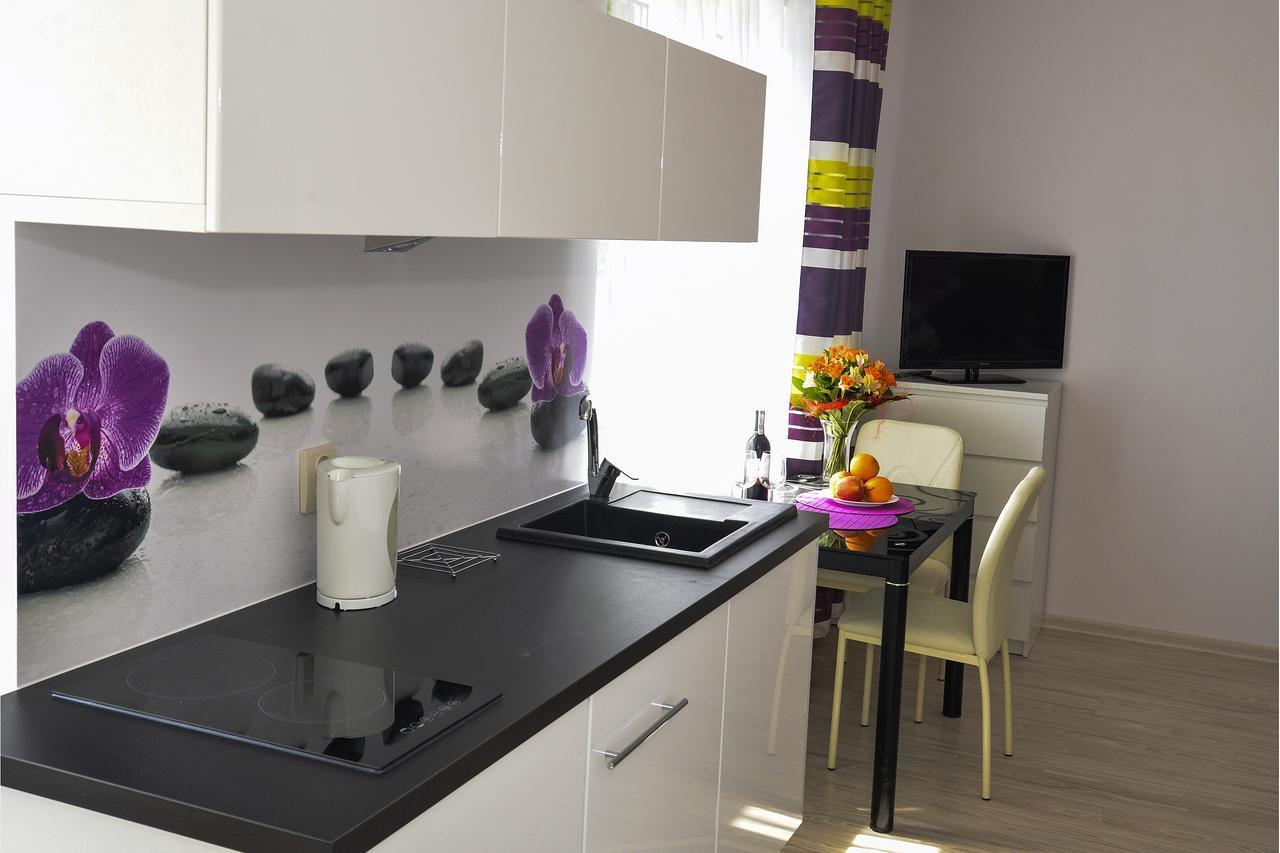 Apartamenty Sun & Snow Karpacz Sucha Exterior foto